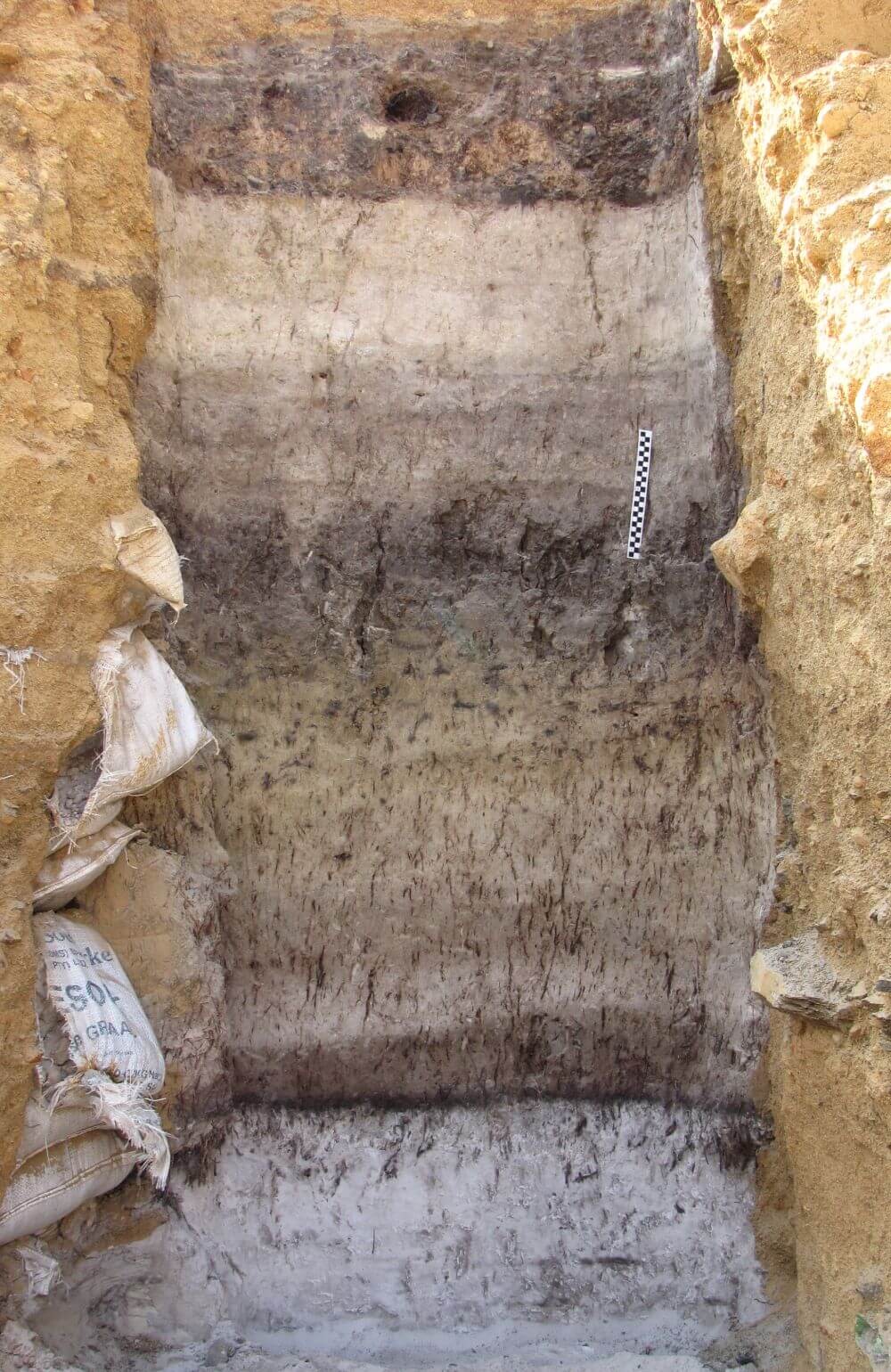 Stratigraphic sequence at Florisbad, featuring white sands dated to the Last Interglacial, which may record the Blake Event