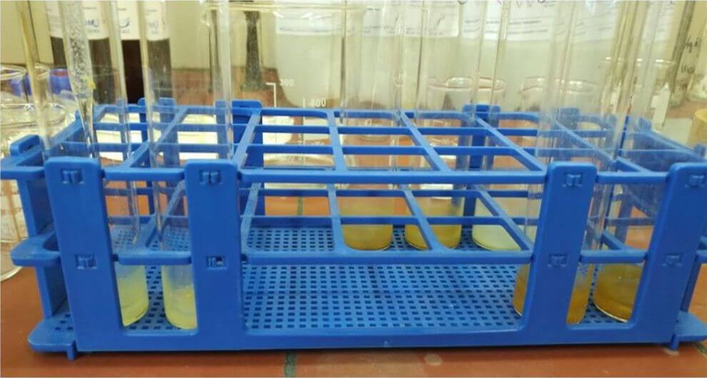 Extraction of plants lipids (credit: Michaela Ecker)